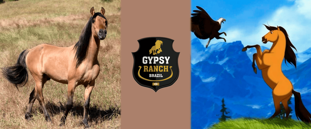 Spirit desenho x realidade