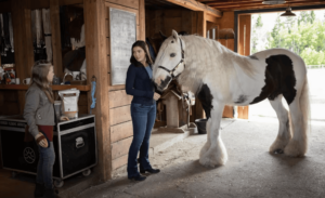 Gypsy nas telonas - Heartland na Netflix
