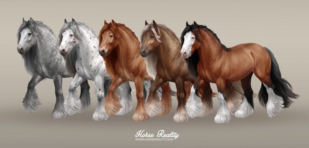 Gypsy horse em Horse Reality
